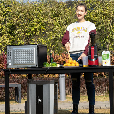 OEM MPPT Off Grid Solar Generator Kit 2500 Watt 3000w